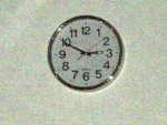 Hoggy_KT_200682.JPG